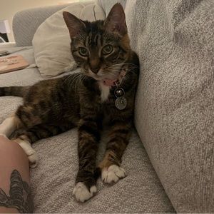 Meet your Posher, Katie